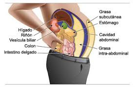 remedios naturales para reducir el abdomen remedios naturales para reducir el abdomen
